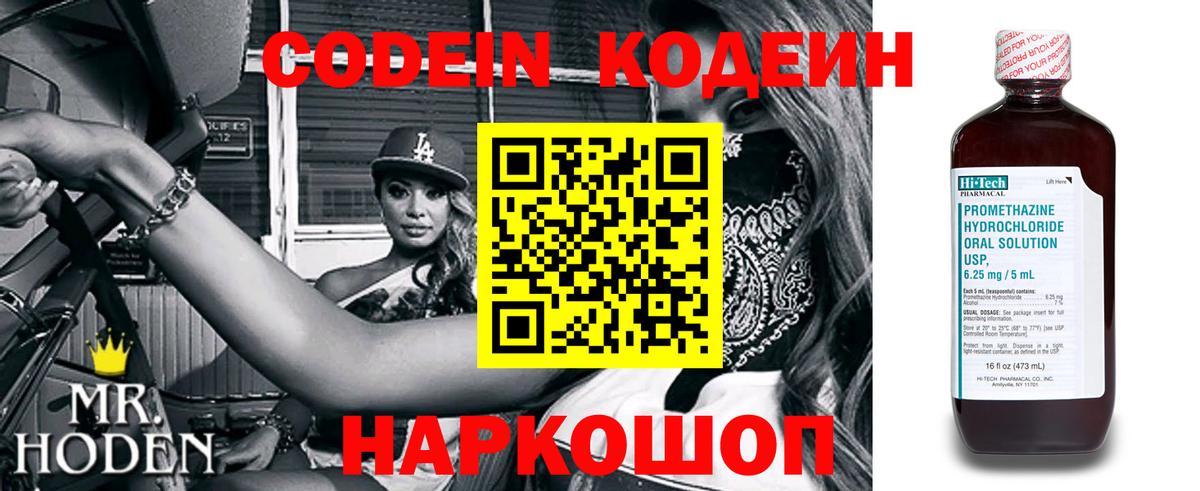 Елизово  Codein напиток Lean (лин)  где купить наркоту  Вход с VPN 