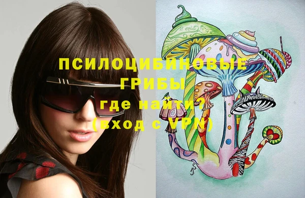 мдма Гусев
