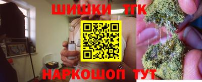 спиды Кингисепп