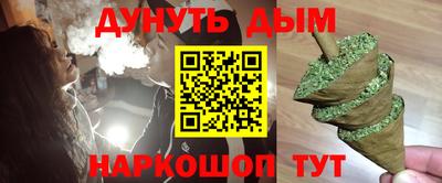 спиды Кингисепп
