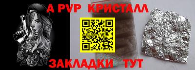 спиды Кингисепп