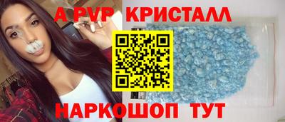 спиды Кингисепп