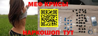 спиды Кингисепп