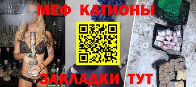 спиды Кингисепп