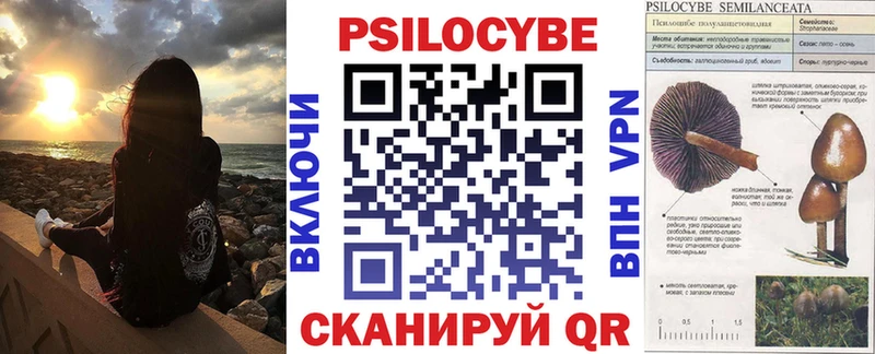 ОМГ ОМГ как войти  купить закладку  Елизово  Галлюциногенные грибы Psilocybe 