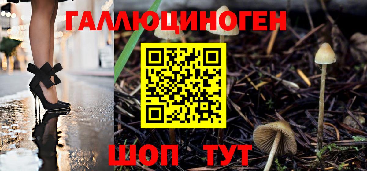 Галлюциногенные грибы Magic Shrooms Елизово