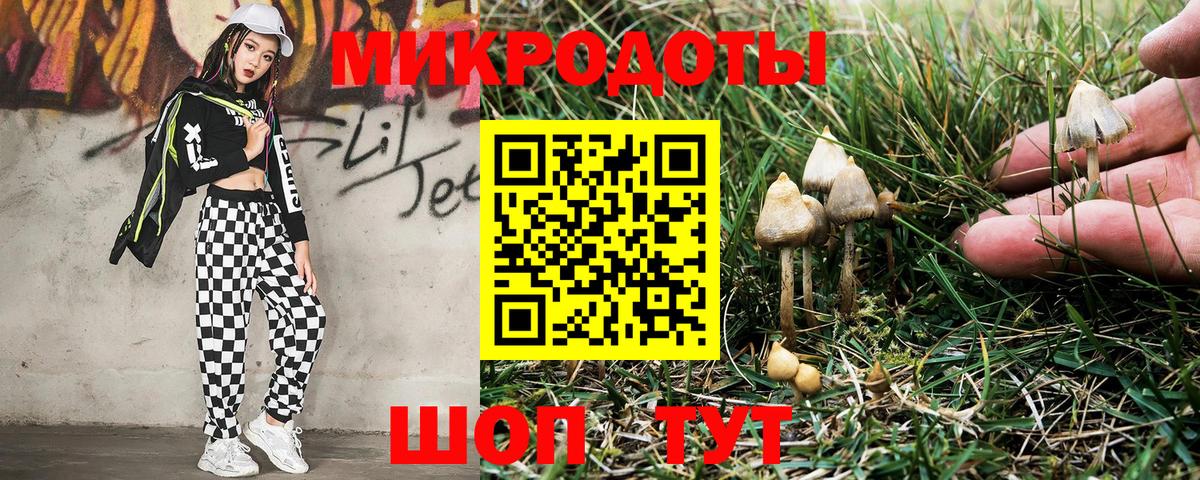 Галлюциногенные грибы мицелий  Галлюциногенные грибы Psilocybine cubensis  Вход с VPN  Елизово 